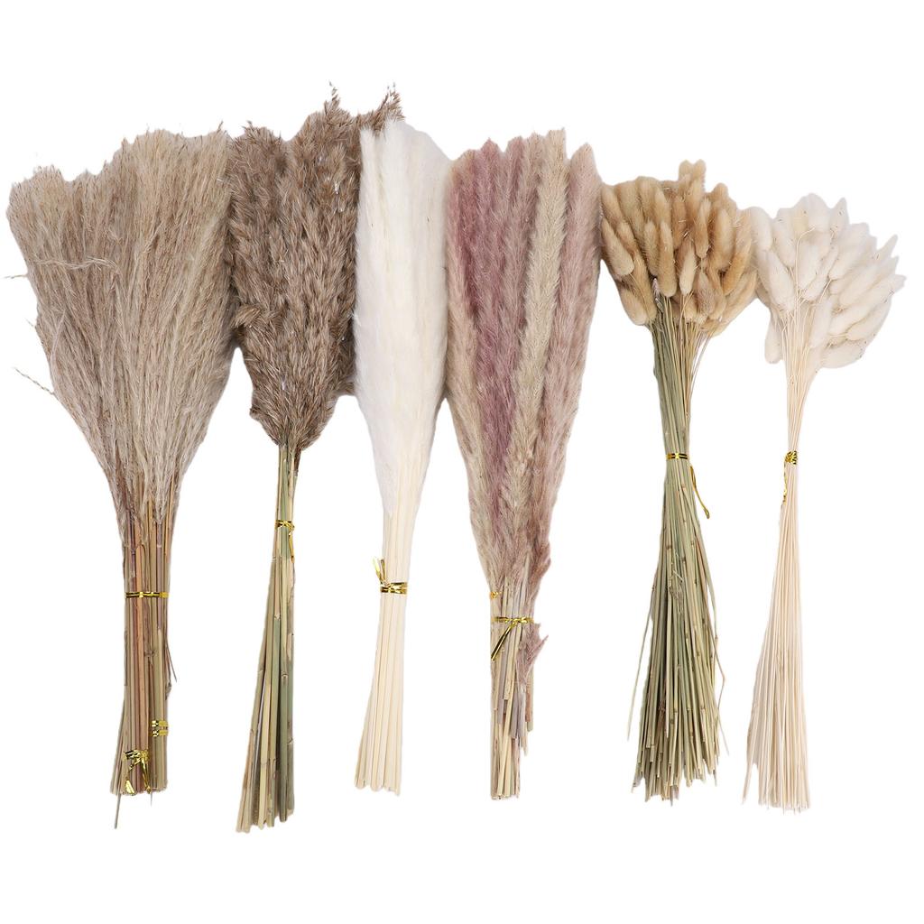 Boho Dried Flowers Bouquet Pampas Grass Dried Bunny Tail Grass Reed Grass Kit for Flower Arrangement Type 1