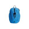 15.3L Youth Mini Recon Casual Sports Backpack Outdoor Kids Backpack Blue NF0A52VX-TV5