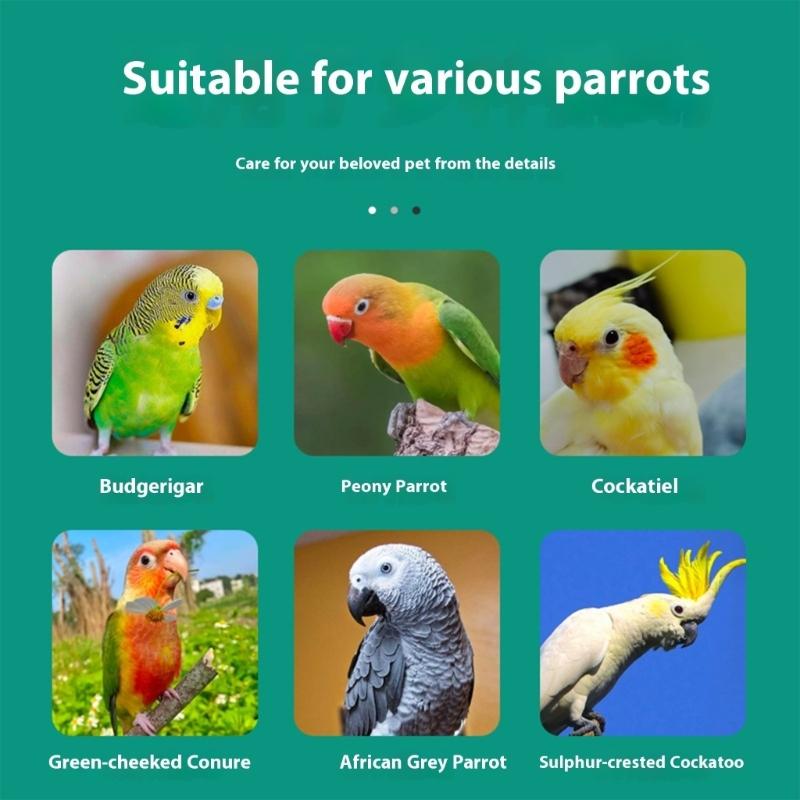 Set of 6 Clear Plastic Bird Cage Feeder Dish For Parakeets Cockatiels Easy To Clean Food Water Dispenser Pet Accessories