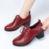 Fashion Spring Autumn Deep Mouth New Fashion Casual Women's Solid  Lace Up Round Toe Chunky Heel Soft Leather Bottom  Single Shoes