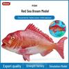 Peixes e animais aquáticos – Decoração de aquário