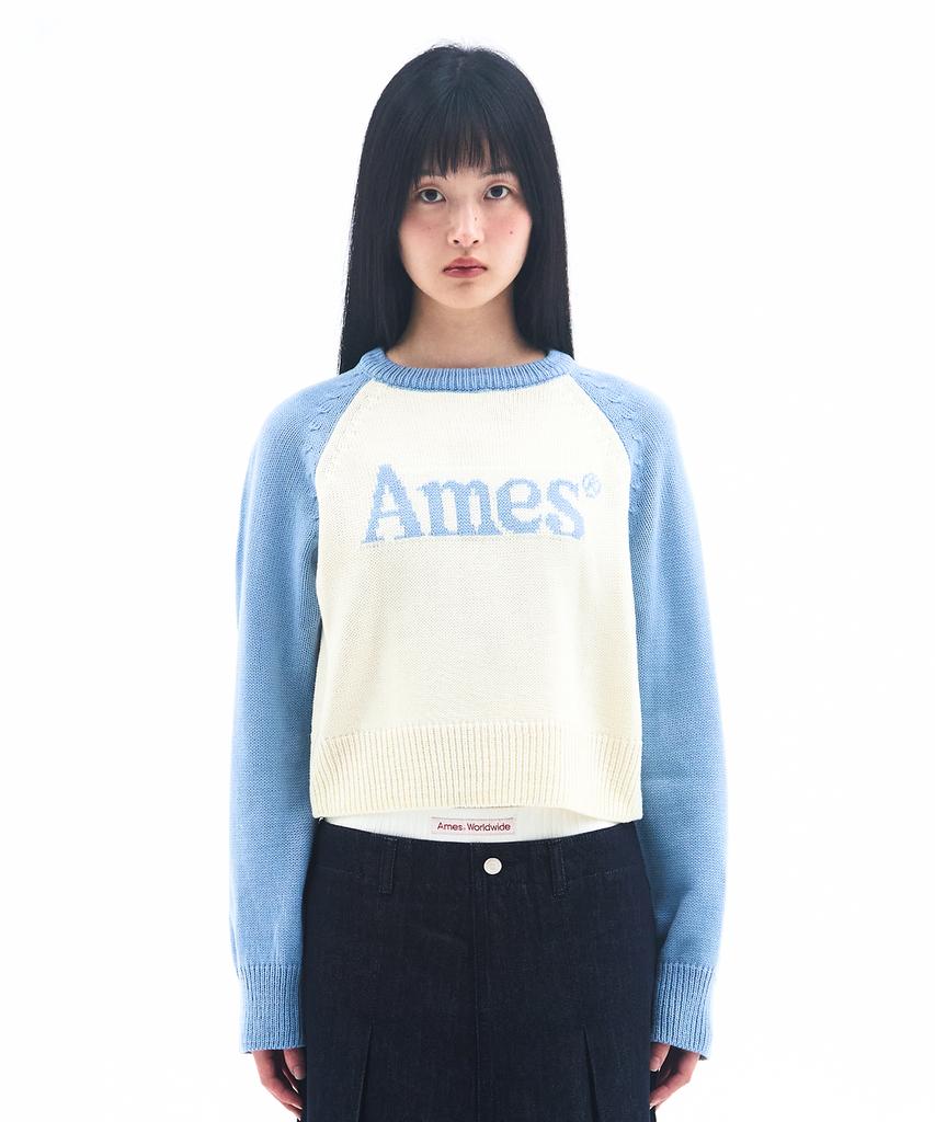 AMES-WORLDWIDE Basic Raglan Pullover Knit Light Blue