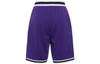Nike DRI-FIT DNA Contrasting Colors Straight Shorts Purple DR7229-547