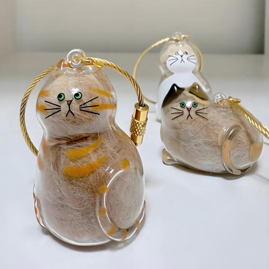 5 ks Lahvička na uchování kočičí srsti Přívěsek na klíče na památku kočičí srsti Průhledný pamětní medailonek pro domácí mazlíčky pro uchování srsti Promyšlený dárek pro truchlící majitele koček