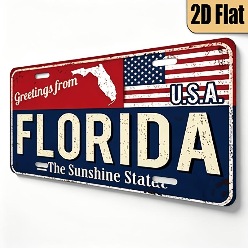 D Flat D Flat pc Vintage License Plate Cover and Frame from Florida Measuring X cm Designed as Wall Decor with