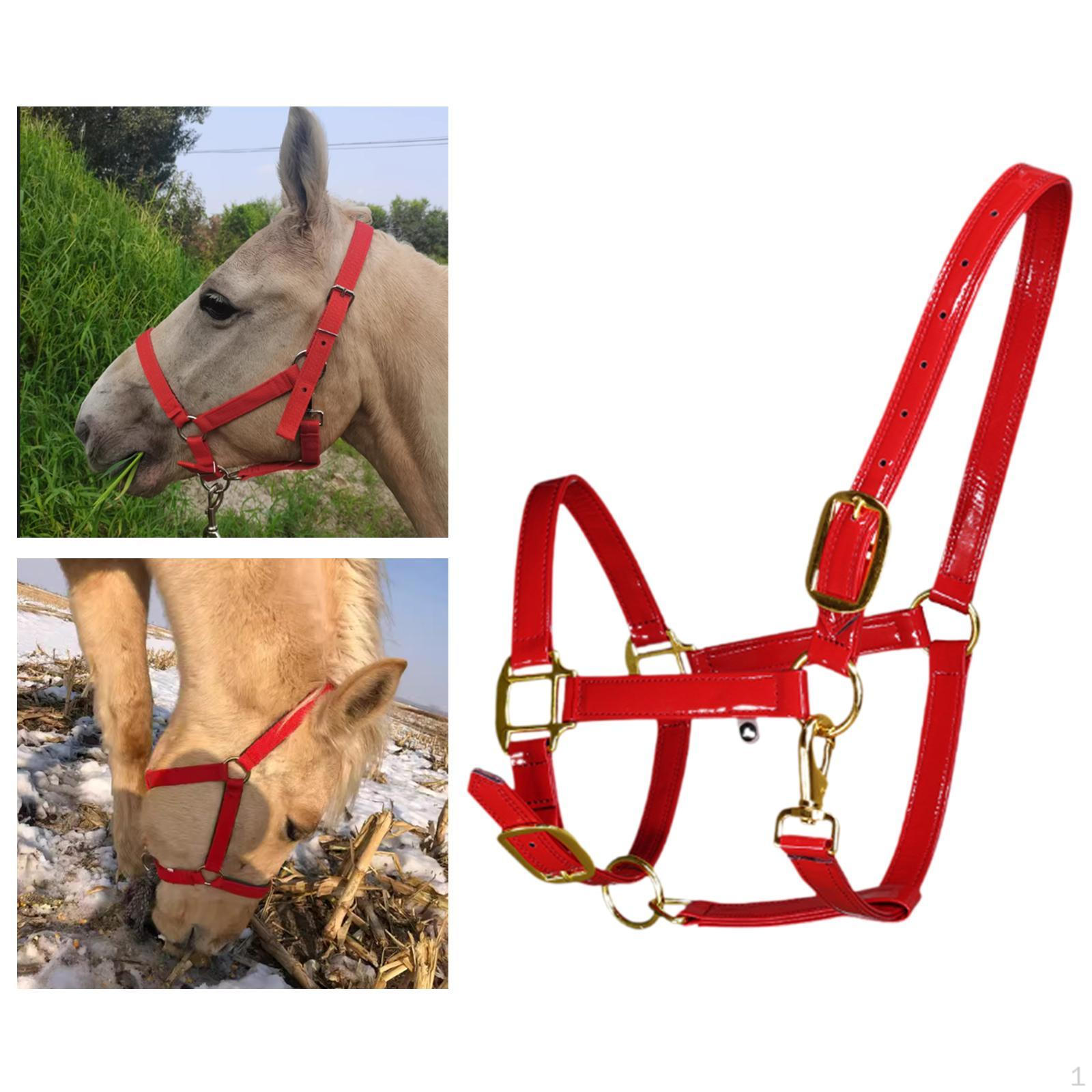 

Кожаная застежка на подбородок и горло для лошадиного недоуздка из микрофибры для практической фермы Red Large