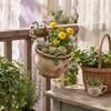 Plant Pot Hanging Ornaments That Won't Damage Plants And Sun-proof Decorative Clips Of The Plant Pot Plant Pot Hanging Orname