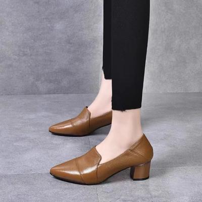 Spring New High Heels Women's Middle Heel Single Shoes Soft Leather Shallow Mouth Four Seasons Single Shoes Pointed Thick Heel Leather Shoes