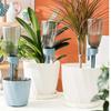 Watering artifact for business trips, automatic watering device for home drip irrigation, watering device for lazy people, potte