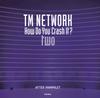 TM NETWORK How Do You Crash It? Two AFTER PAMPHLET (Rittor Music)