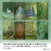 Forest of Enchantment Tarot Reading Japanese Instruction Manual Authentic 78 Cards Tarot, Instructions, Included, Tarot,