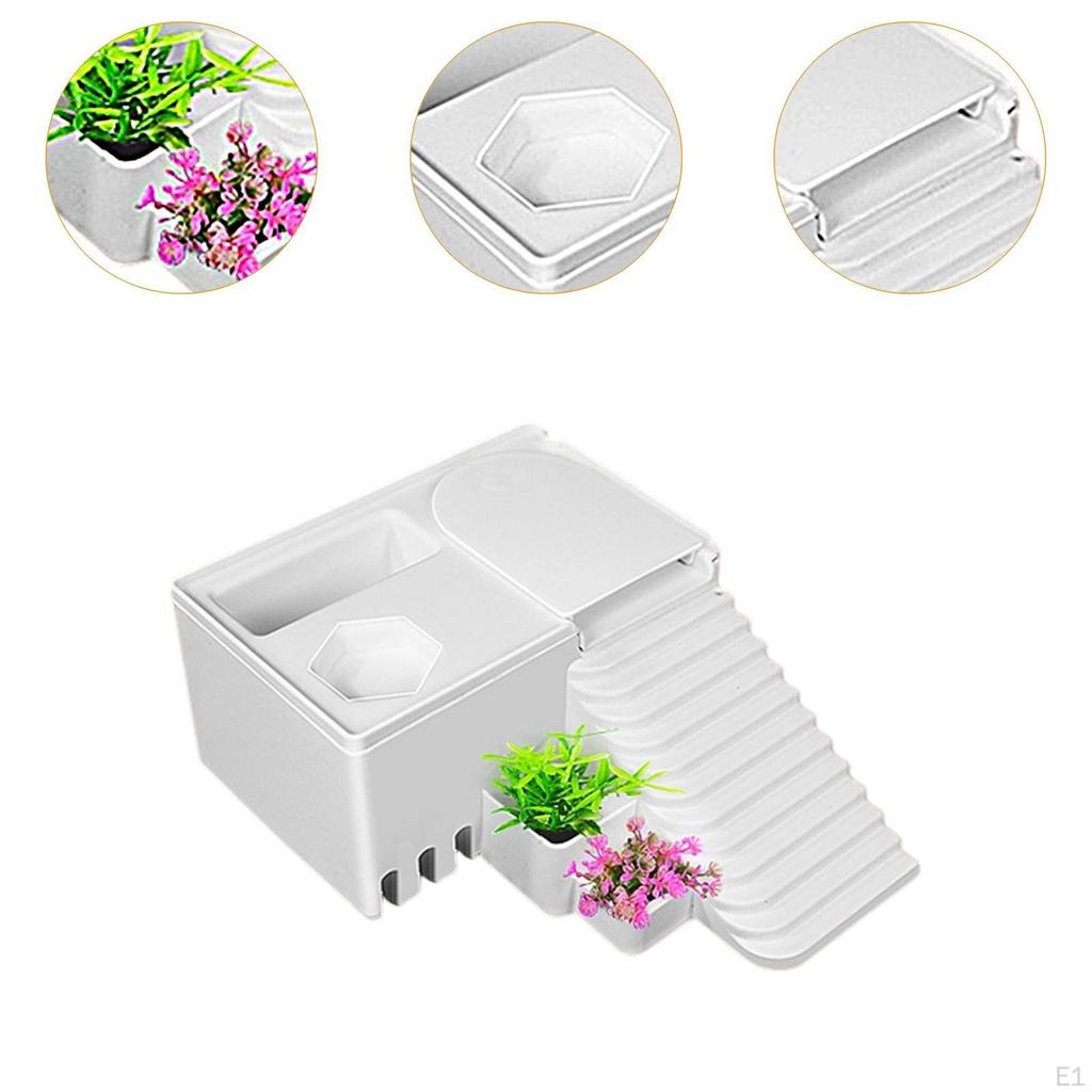 Rampă pentru Terariu Reptile și Broaște Țestoase