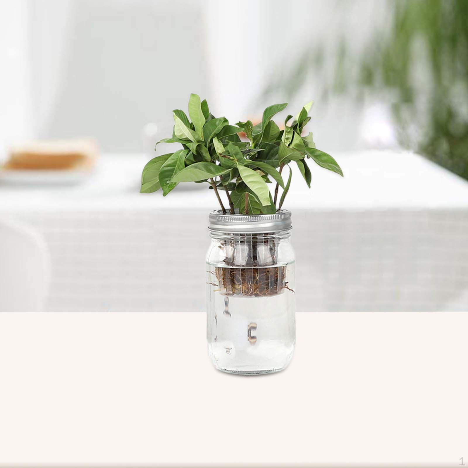 

Набор стеклянных банок со складным держателем для проращивания фасоли 500ml