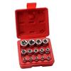 Set of 14 star-shaped Torx sockets type E I Ratchet box I Socket set Profile E (external Torx) E4 - E24