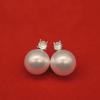 Women's Retro Pearl Flower Earrings - French Oil Painting Style, Versatile and Elegant for Daily Wear