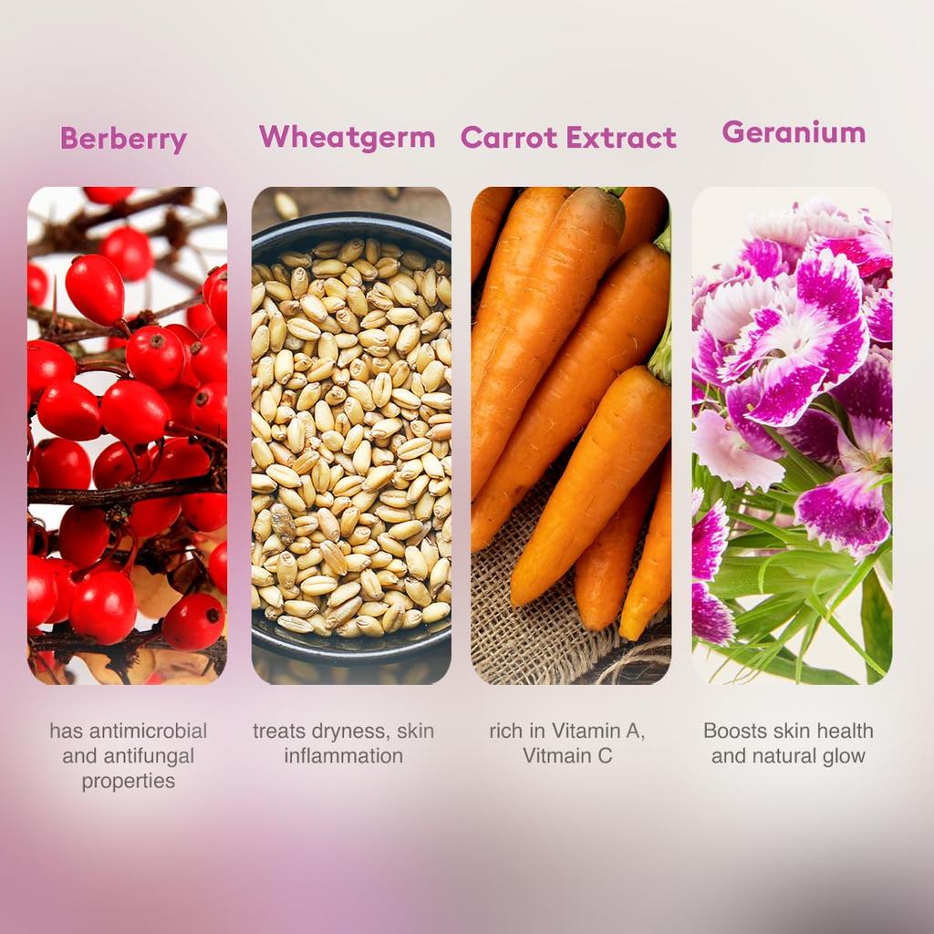 VLCC Skin Tightening Facial Kit 6 Facials 240g + 12ml At Home Rejuvenating Skin Care