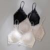 French lace beautiful back underwear women's new popular sexy thin seamless skin-friendly no steel ring bra