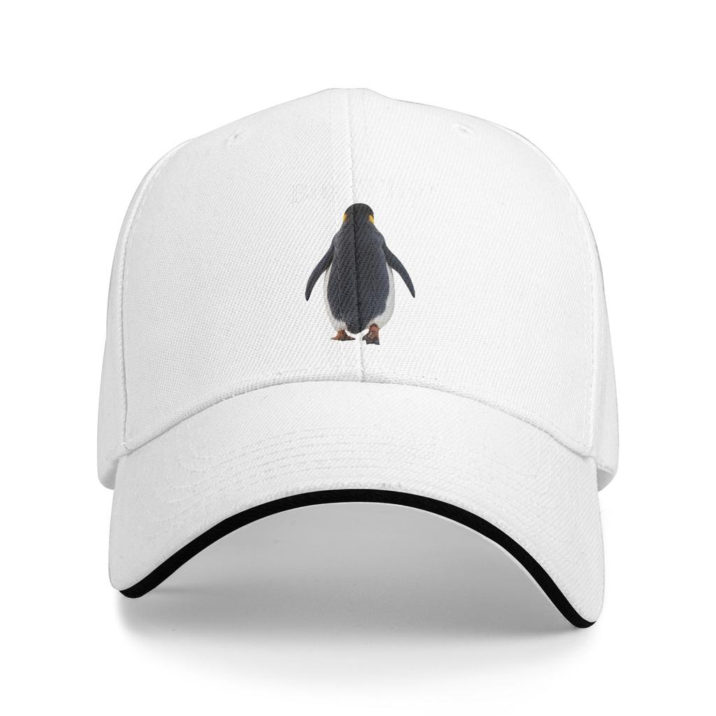 Nihilistischer Pinguin Aber Warum Richtung Berge Lässige Baseballkappe Outdoor Fitnessstudio Trucker-Hut Sommer Herren Retro Snapback-Kappe