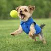Casual Style Breathable Pet Dog Shirt Solid Color Two-legged Dog Short Shirt Thin Material Soft Pet Vest Spring Summer