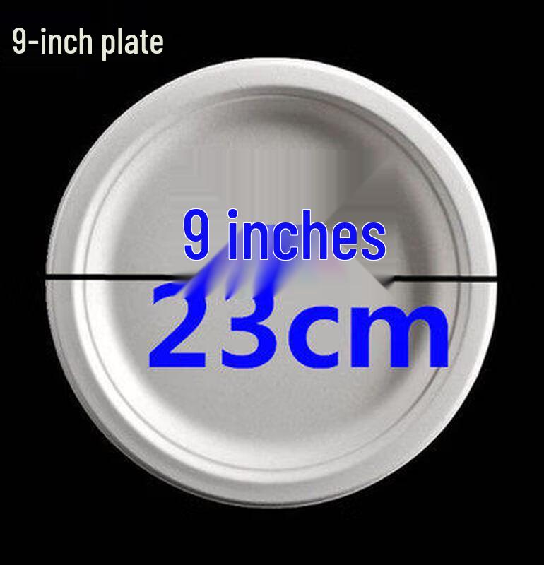 ZISIZ Disposable Rectangular Paper Plates