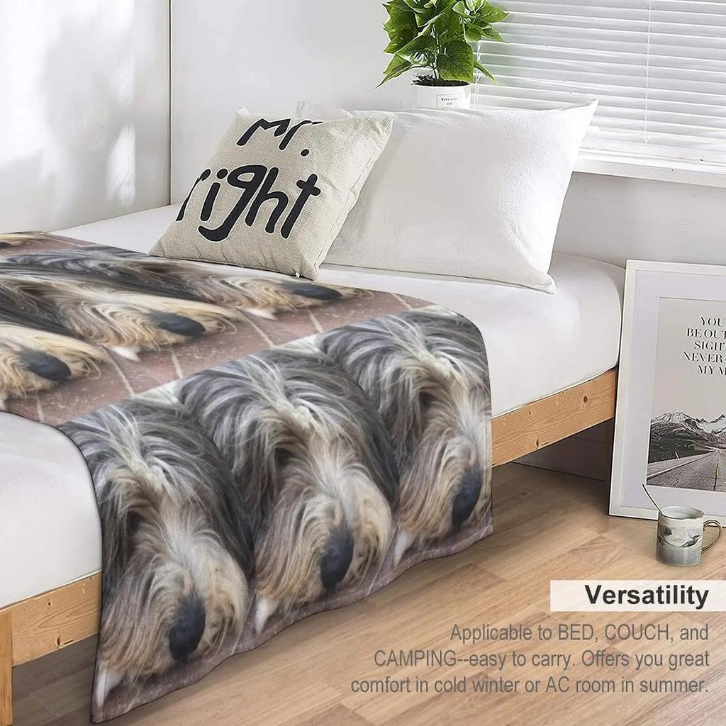 Bearded Collie Nap Time - Always Got One Eye Open Just In Case! Throw Blanket Sofa Blanket Heavy Blanket