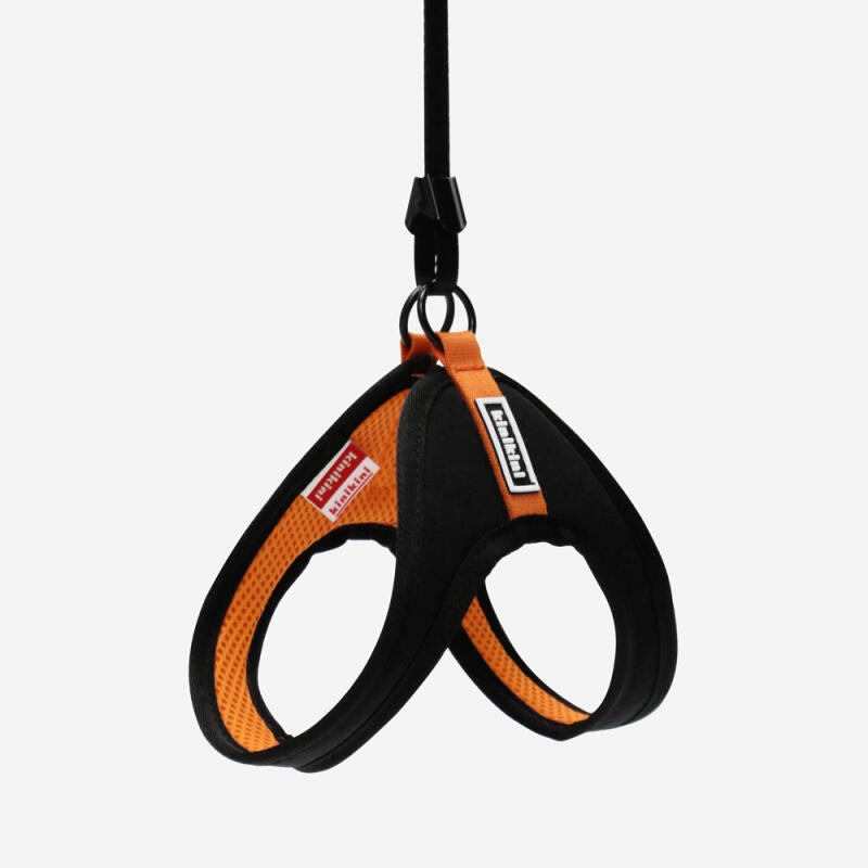 KINIKINI Signature Harness + Leash Set