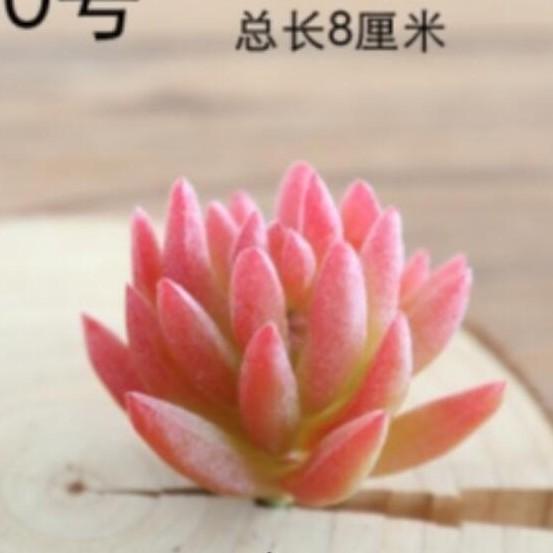 Diy Simulated Succulent Plant Hair Planting, Mini Fake Succulent Bonsai With Flowers, More Than 20 Styles Of Bn1