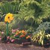 Dancing Flower Water Sprinkler Crazy Flower Sprinkler with Spike 360-Degree Rotating Lawn Sprinkler for Yard Watering Garden Irrigation Kids