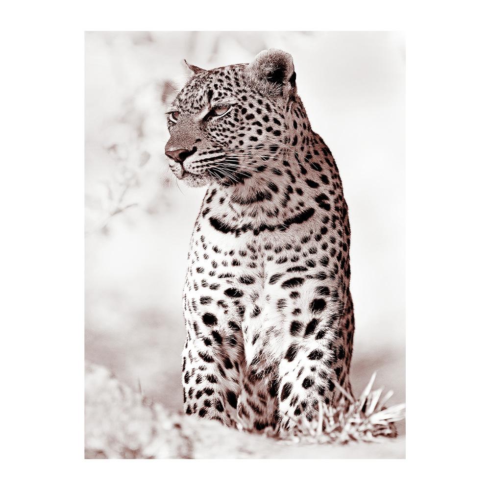 Lion Leopard Nature Canvas Painting Reed Beige Scandinavian Decorative Wall Art Poster Print Landscape Pictures for Living Room