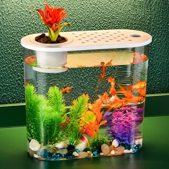 Elegante ciotola per pesci da tavolo con fori e coperchio, coltura idroponica, perfetta per la casa o l'ufficio.