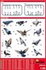 Miniart 1/35 Scale Plastic Model Kit MA38036, Set of 36 Pigeons