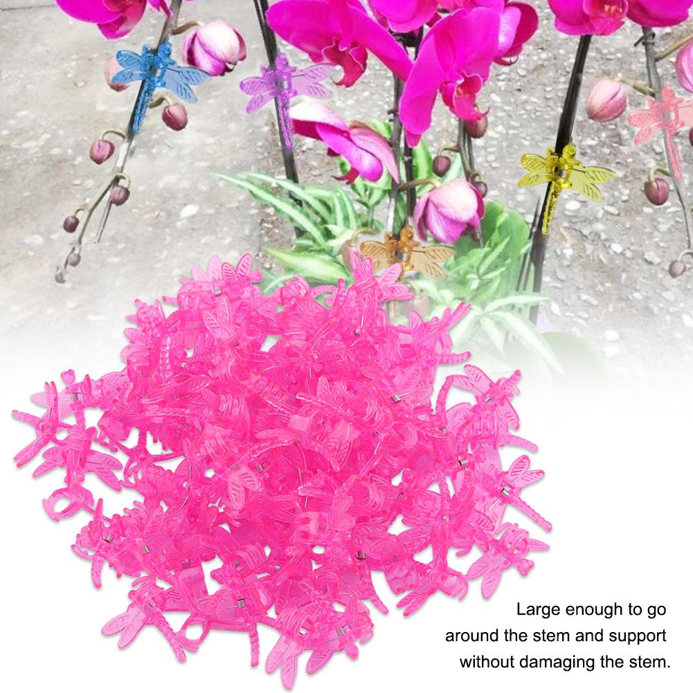 100 st Trädgårdsverktyg Stjälkfästen Väx Upprätt Orkide Plast Mini Stjälkar Blomma Roseröd