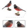Feather Animal Model Simulated Magpie Pigeon Cuckoo Blue Wren Rusty-breasted Tit Solid Model Ornament PVC Bird Statue Figurine Desktop Decoration