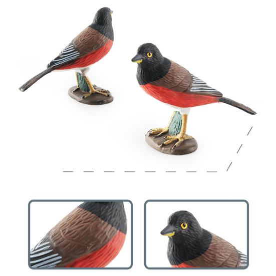 Feather Animal Model Simulated Magpie Pigeon Cuckoo Blue Wren Rusty-breasted Tit Solid Model Ornament PVC Bird Statue Figurine Desktop Decoration