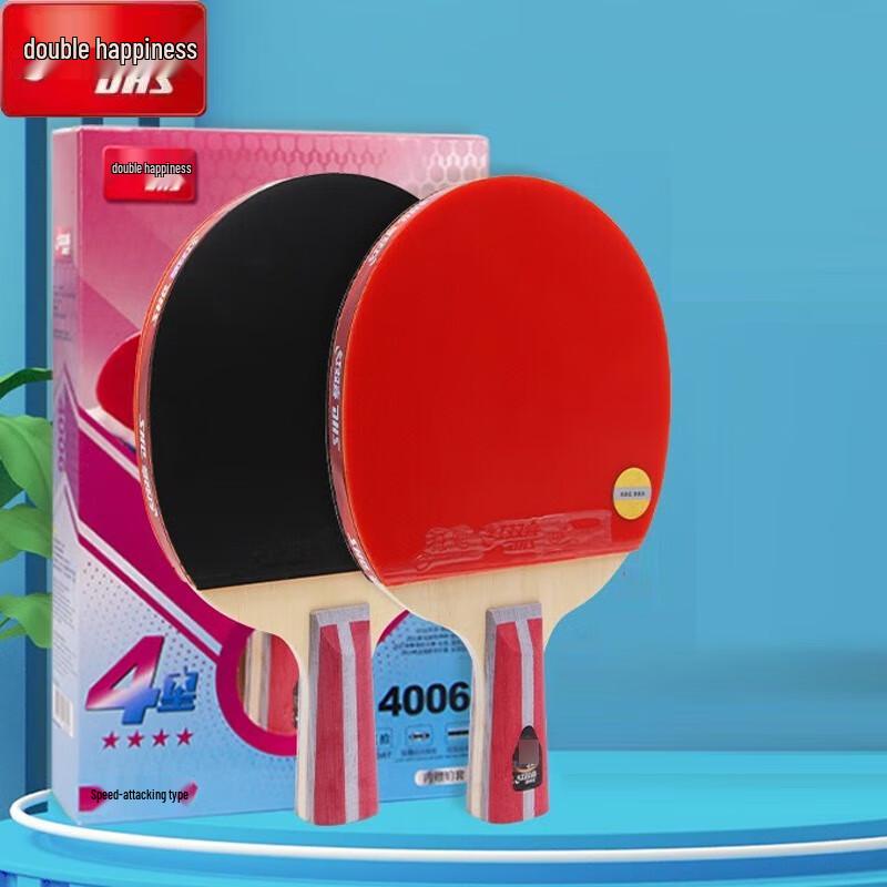 DHS Power  Speed 4-Star Table Tennis Racket