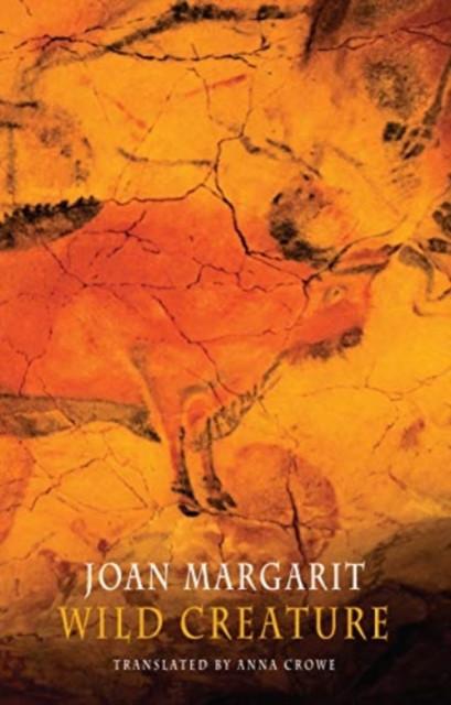 Wild Creature by Joan Margarit Paperback Book 9781780375922