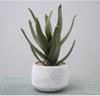 Simulated Cactus Fleshy Potted Office Decoration Fake Cactus Cement Retro Small Bonsai