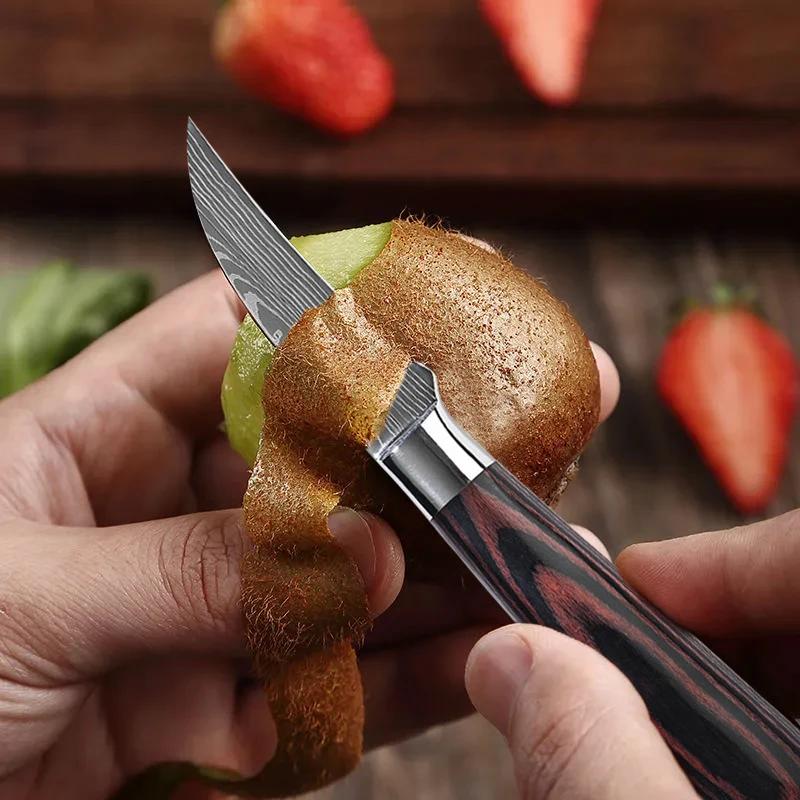 WXCOO Kitchen Fruit Paring Knife Damascus Utility Carving Knife Wooden Handle for Household Fruit Slicing