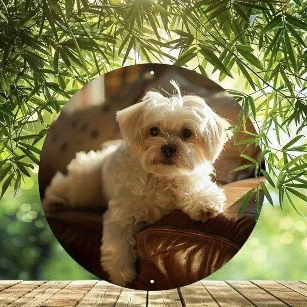 Maltese Dog Metal Wall Art Poster, White Maltese Canine Home Decor
