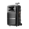 Newmine B12 12-inch Outdoor Bluetooth Trolley Speaker CN plug (adapter included)