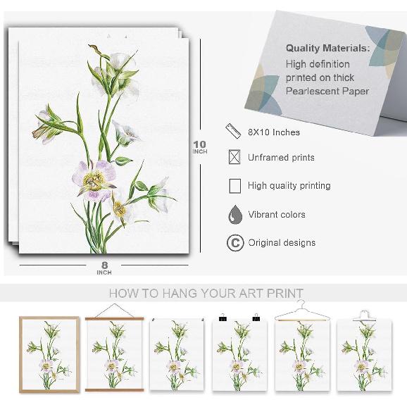 Gubrandin 6PCS Vintage Botanical Wildflower Art Wall Art Prints Artwork Paintings for Home Farmhouse Office Bathroom Kitchen Bedroom Wall Decor (8x10