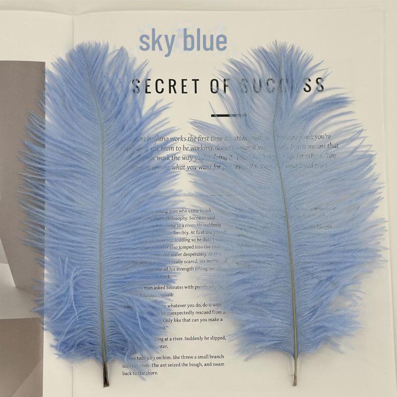 Barevné zavírače na dorty z pštrosího peří a příslušenství