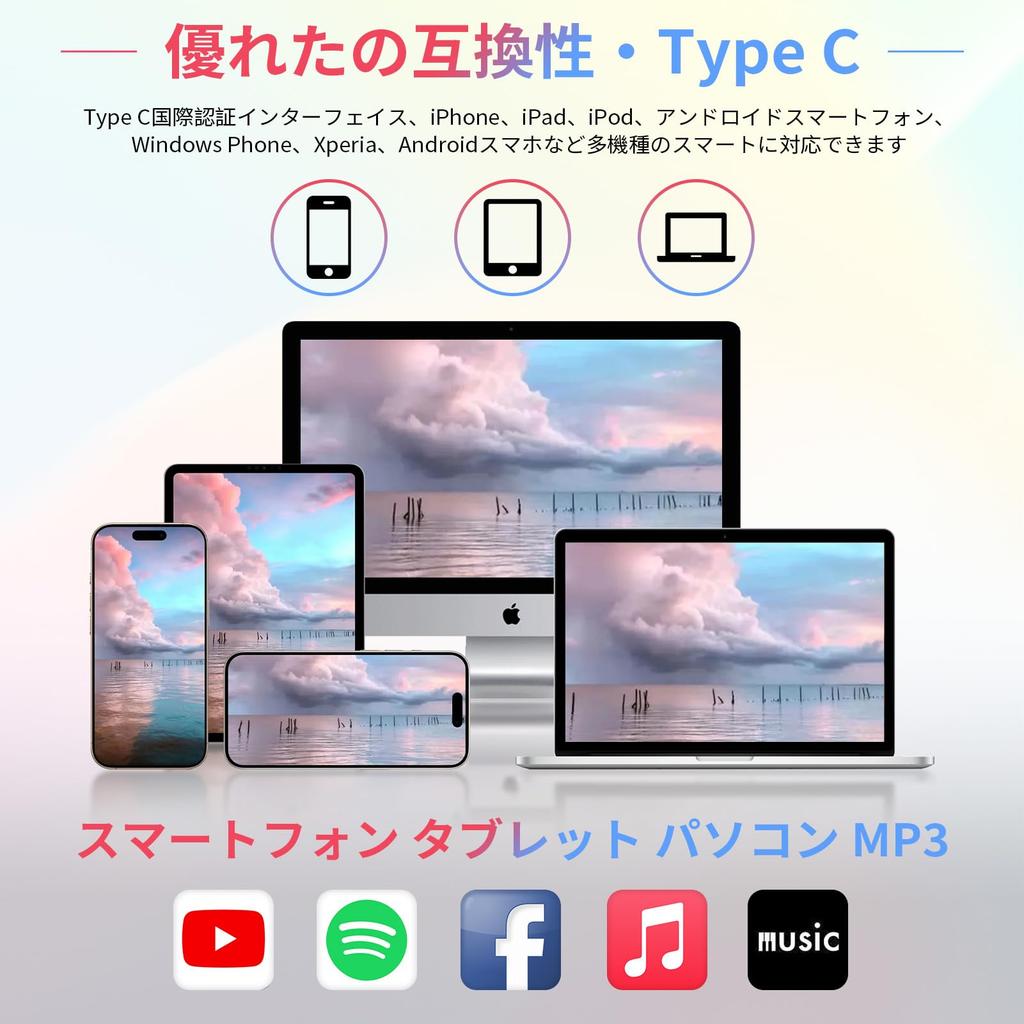 Kabelgebundene Kopfhörer Erstkompatibel mit iPhone HIFI-Klang Lautstärke Tiefe Geräuschisolierung Klare Stereo-Kopfhörer Kompatibel mit Typ-C-Kopfhörern, USB-C