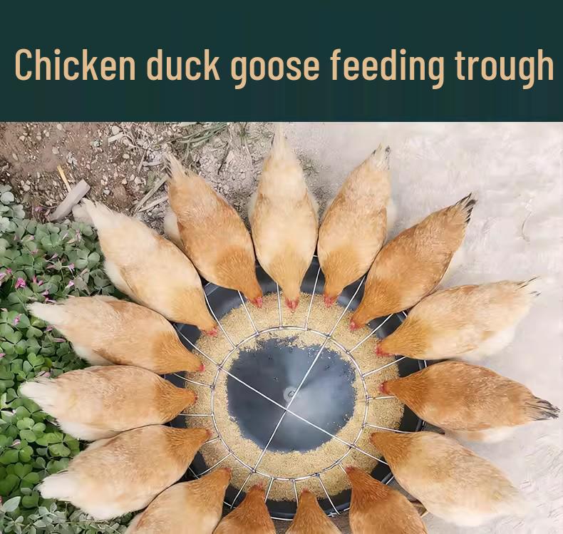 Farm Multi-Hole Feeding Trough for Chickens, Ducks, and Geese - 50cm/60cm Durable Food Basin