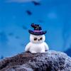 Micro-landscape Creative Halloween Witch DIY Decoration Accessories Mini-knickknacks