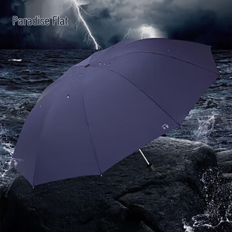 Heaven 10-Rib Automatic Windproof Travel Umbrella