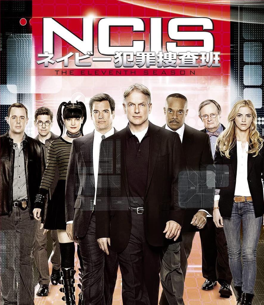 Naval Criminal Investigative Service Season 11 Selection Box NCIS (Special Set) (12-Disc Set) [DVD]