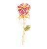 SKEDS Women Elegant Plant Flower Metal Brooches Corsage Fashion Rhinestone Pearl Badges Jewelry Vintage Lady Brooch Pin Gift
