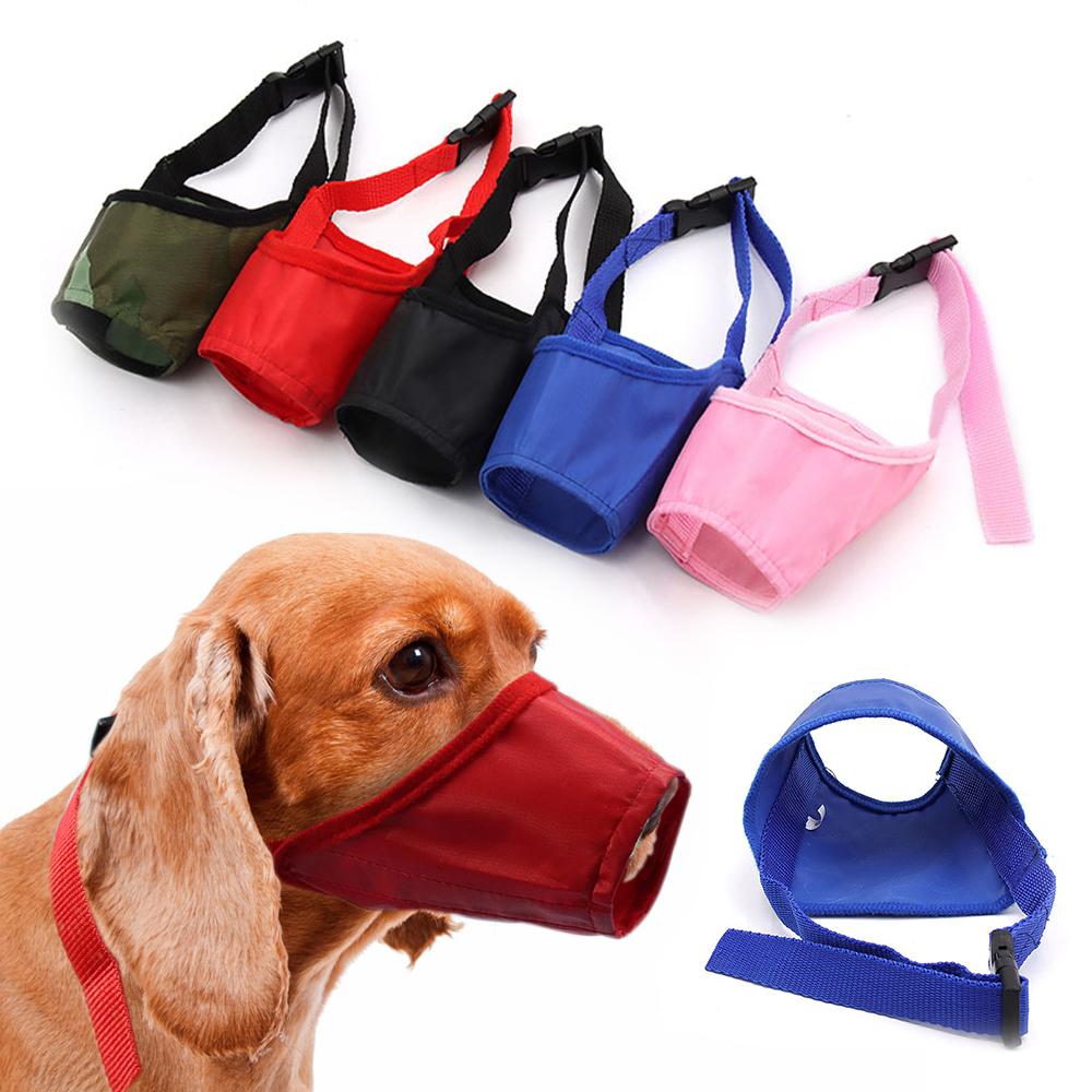 dog muzzle red