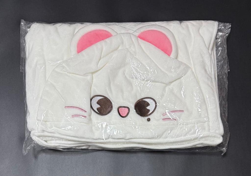 [USED] SKZ Genielet Blanket